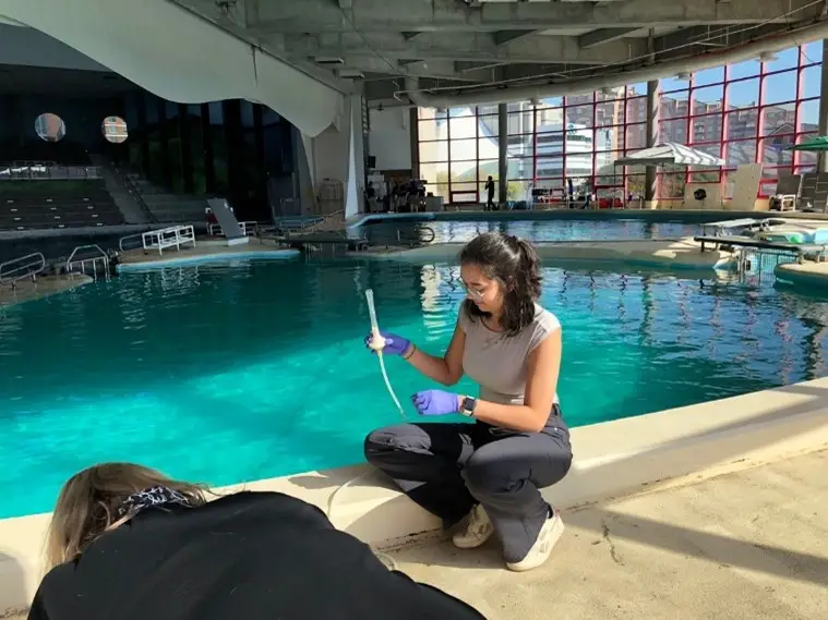  A woman wearing a light gray tank top and purple gloves is focused on conducting an experiment at the edge of a dolphin tank. She holds a clear testing tube and looks intently at her work. In the foreground, another person is crouched down, working on a task. The tank is surrounded by large windows that provide ample natural light, creating a bright, open atmosphere.