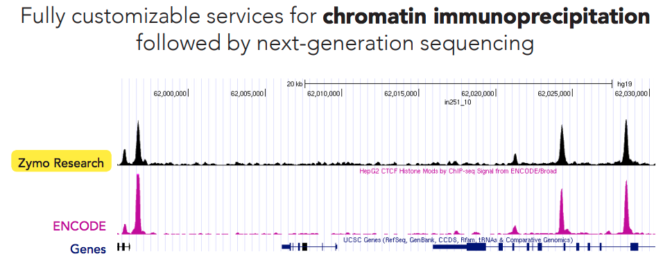 chip seq chart