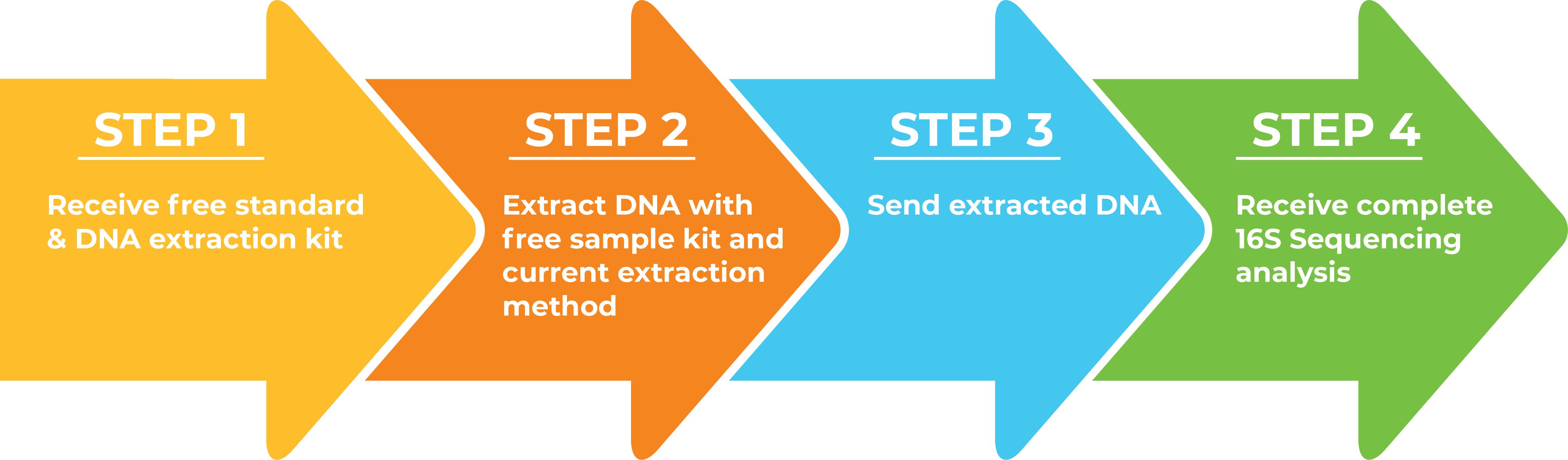 Extraction Challenge Timeline Workflow