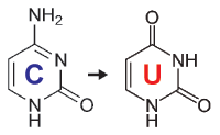 bisulfite image