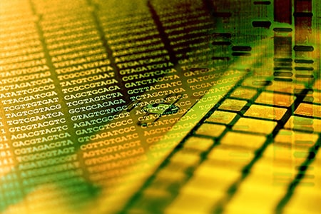 Picture of DNA sequence