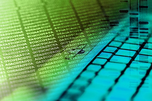 Picture of DNA sequence