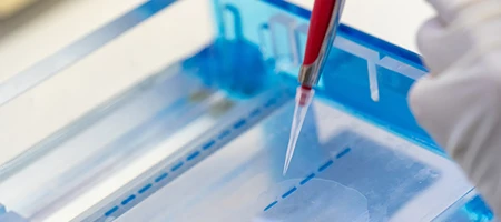 Rapid isolation of highly concentrated, ultra-pure DNA from TAE/TBE buffered agarose gels