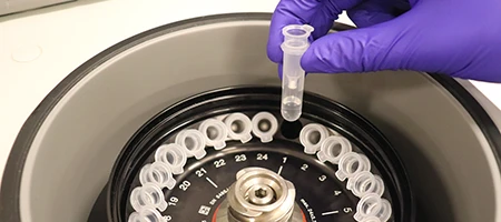 DNA Clean-up and Concentration | ZYMO RESEARCH