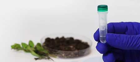 DNA Clean-up and Concentration | ZYMO RESEARCH
