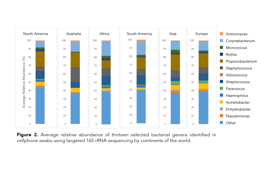 Average relative abundance of thirteen selected bacterial genera identified