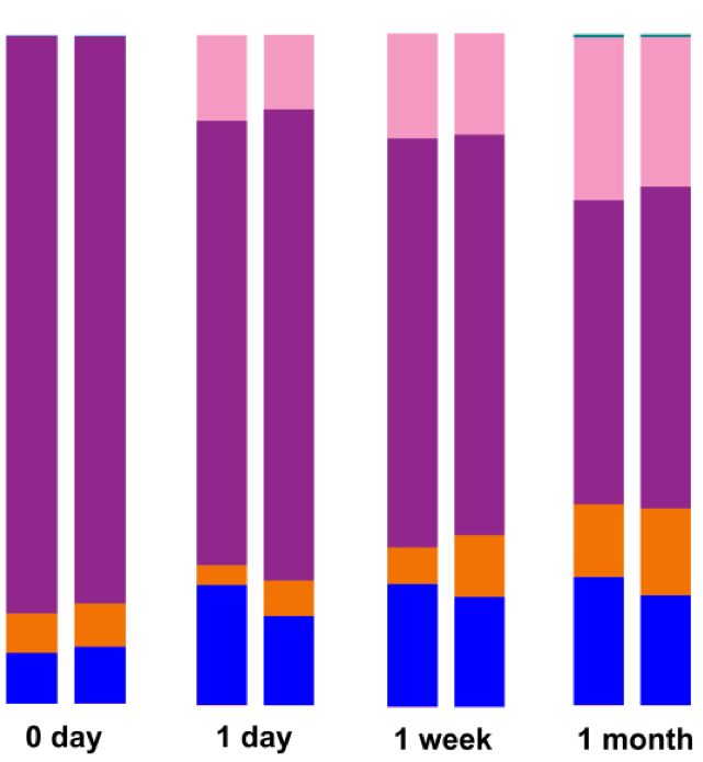 Graph Without Shield