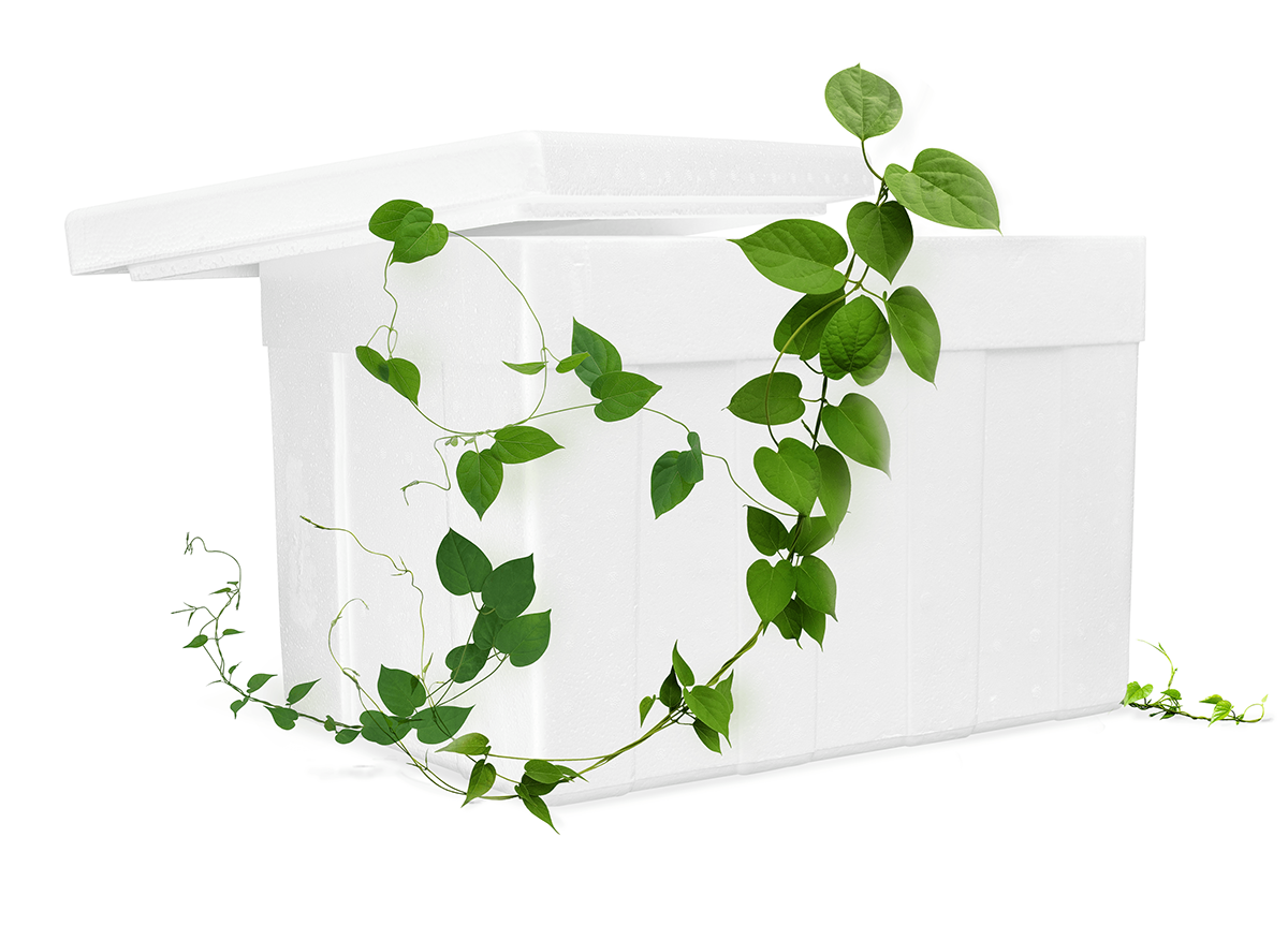 green initiative styrofoam box
