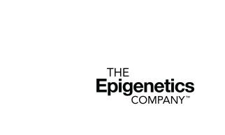 The Epigenetics Company