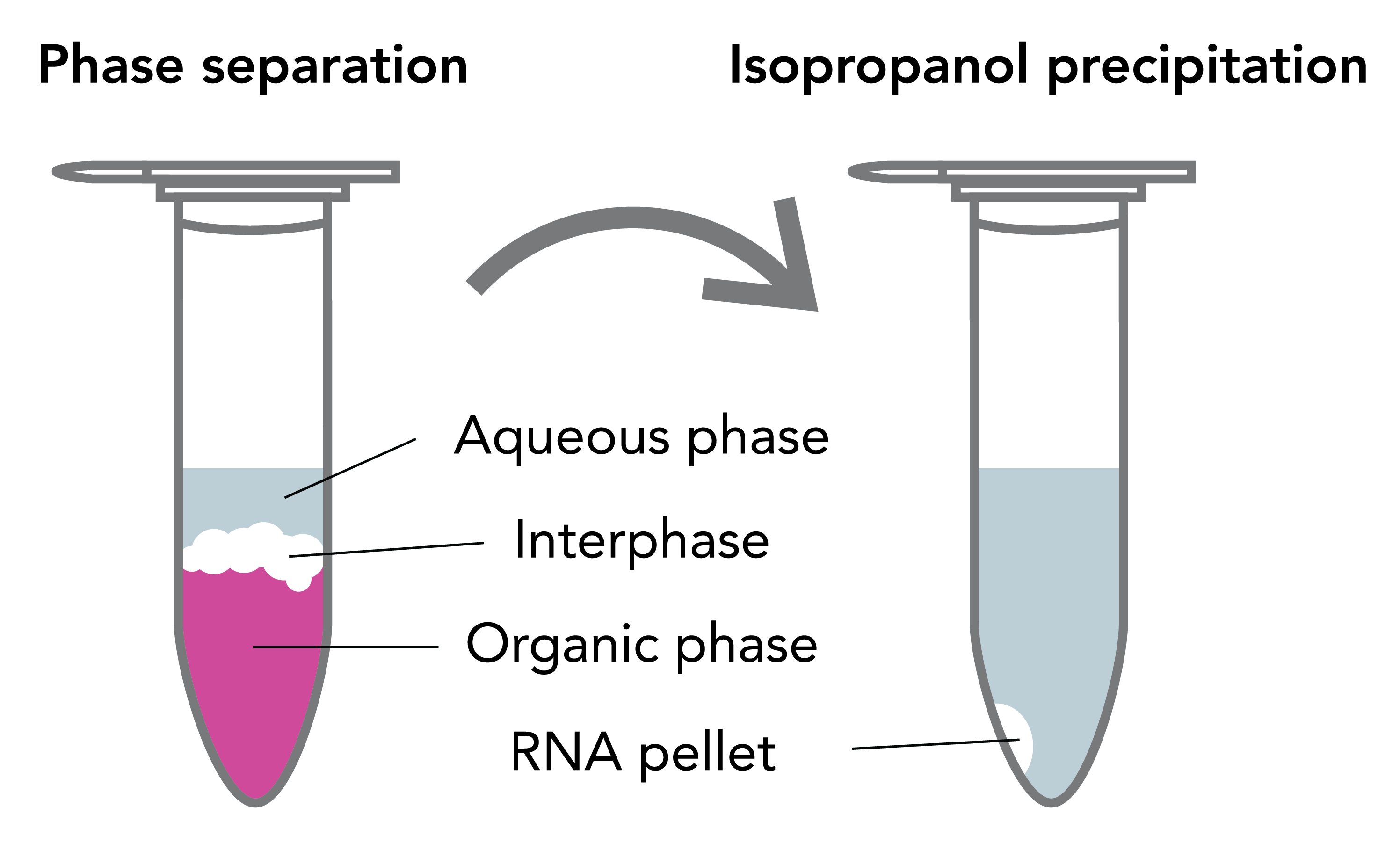 What Is TRIzol Reagent? | ZYMO RESEARCH