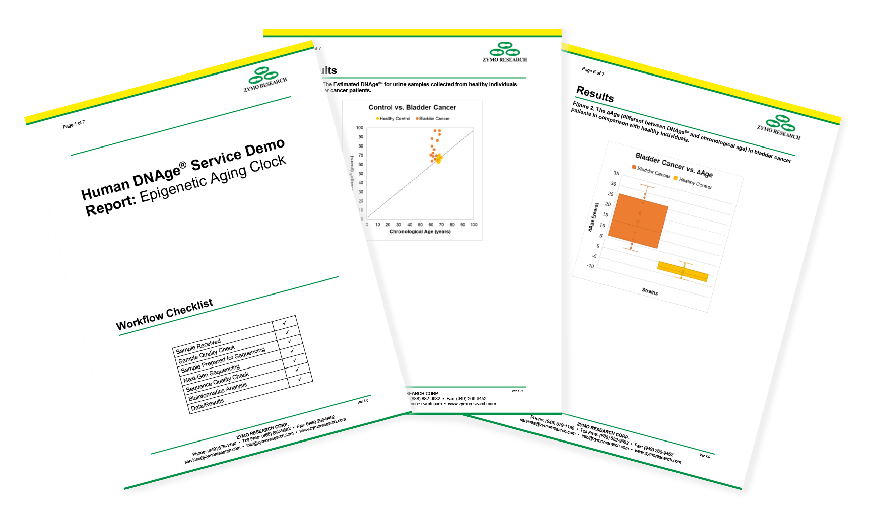 image of 3 pages of the Human DNAge Service Demo Report