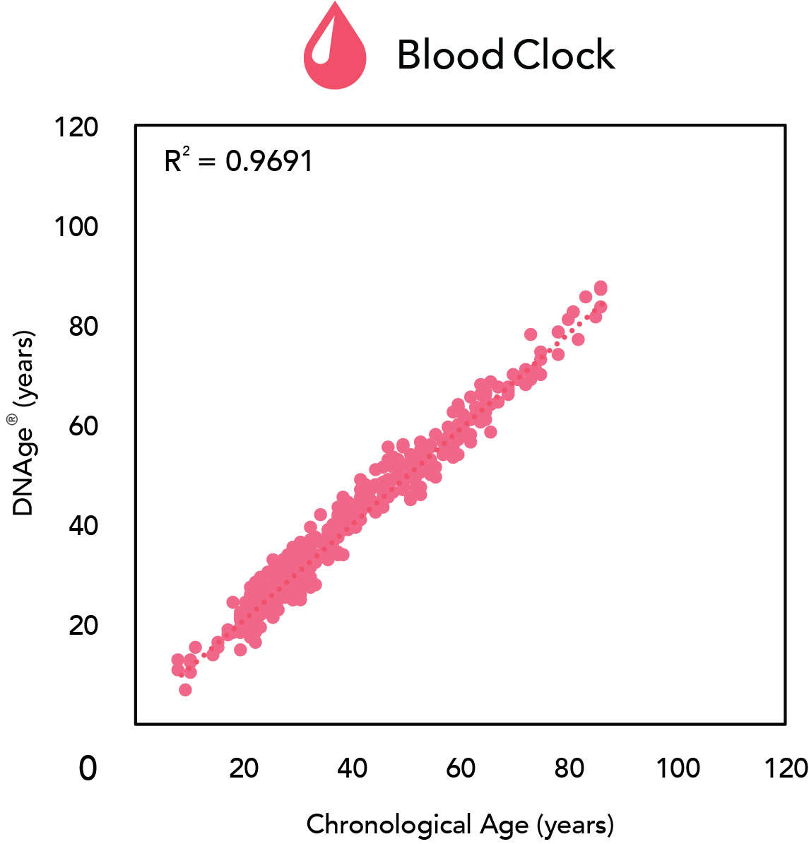 Blood DNAge performance showing the correlation between DNAge and Chronological Age