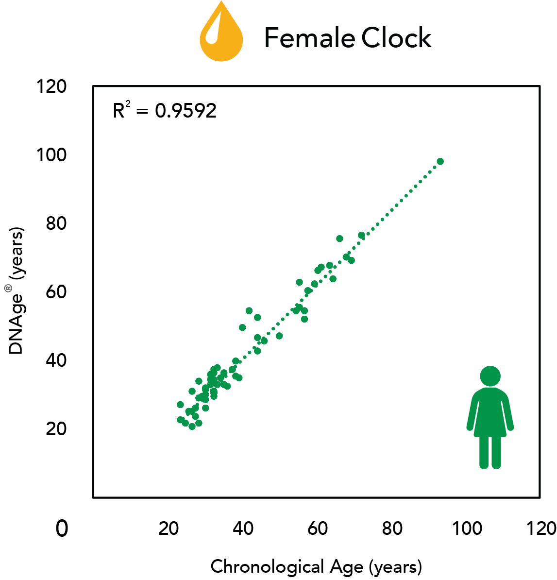 Urine DNAge of female clock showing correlation between DNAge and Chronological Age