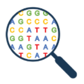 magnifying glass showing the DNA base letters A C G T