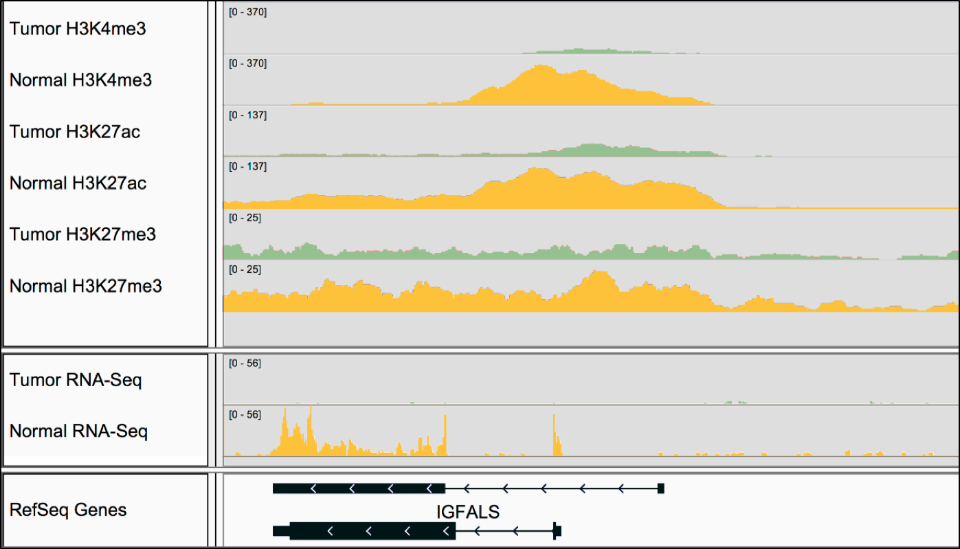 Integrated analysis of gene regulation