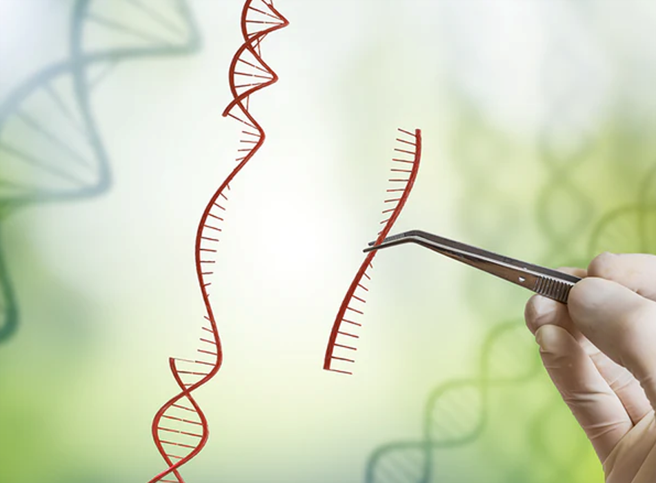 Genetic engineering and molecular cloning concept showing a hand inserting a sequence of DNA into a strand