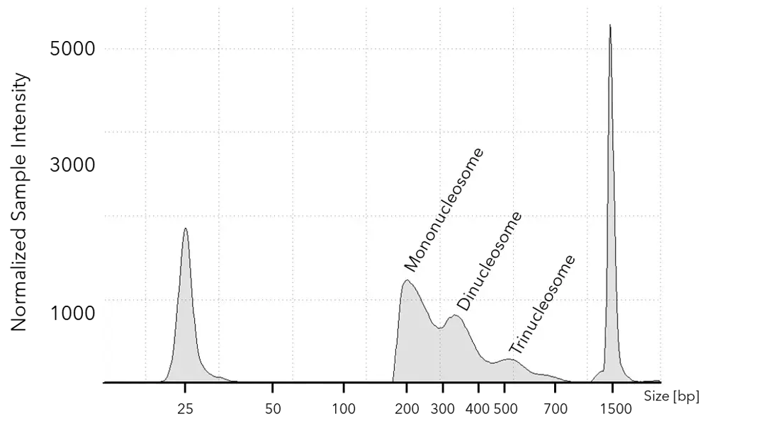 Endura Tn5 Transposase - Highly Efficient Library Prep Graph