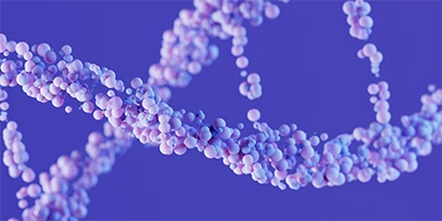 3D illustration of pink and purple DNA double helix molecule on a bright purple background. 