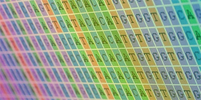 DNA sequencing data featuring color-coded nitrogenous base letters on a screen.