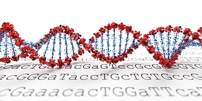 Close-up of 3D DNA double helix structure in red and blue colors on a white background with nitrogenous base letters. 