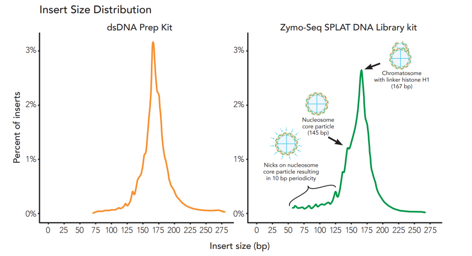 Graph comparing insert size distributions for dsDNA Prep Kit and Zymo-Seq SPLAT DNA Library Kit, highlighting nucleosome and chromatosome peaks in cfDNA.