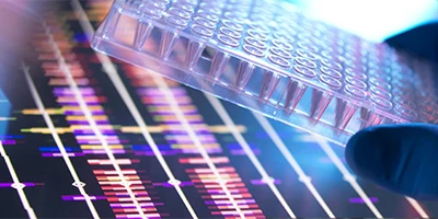 Scientist holding a multi well plate containing DNA samples with the DNA sequencing profiles on a computer screen.