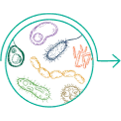 A monitor displaying different graphs icon