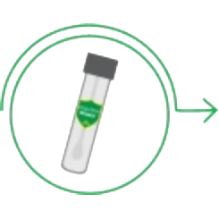 A collection tube in a circle with an arrow pointing to the next step