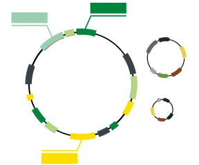 Comprehensive Assembly Analysis