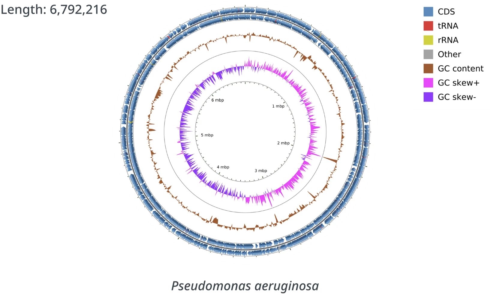 Chart displaying gene analysis