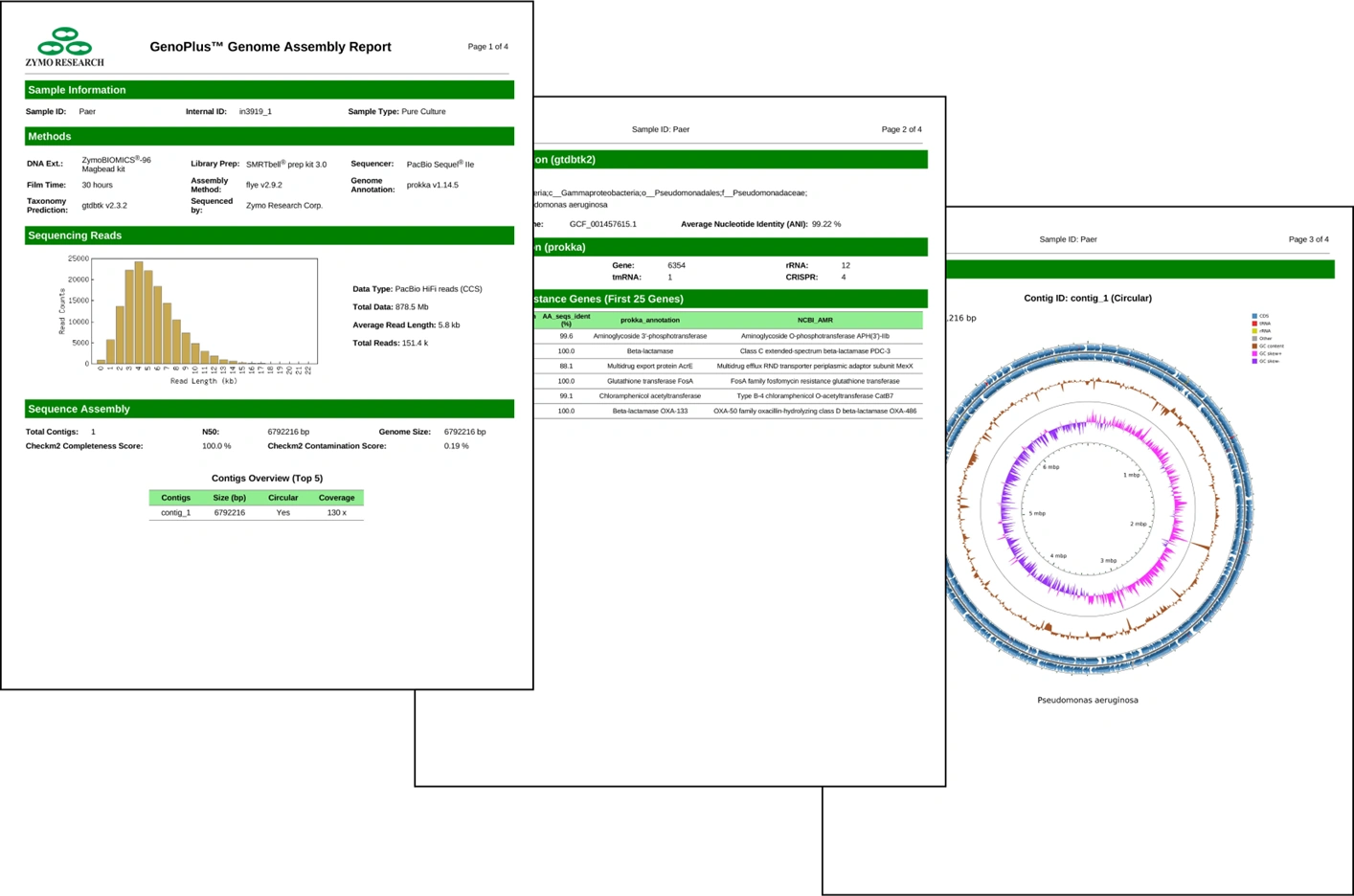 custom reports