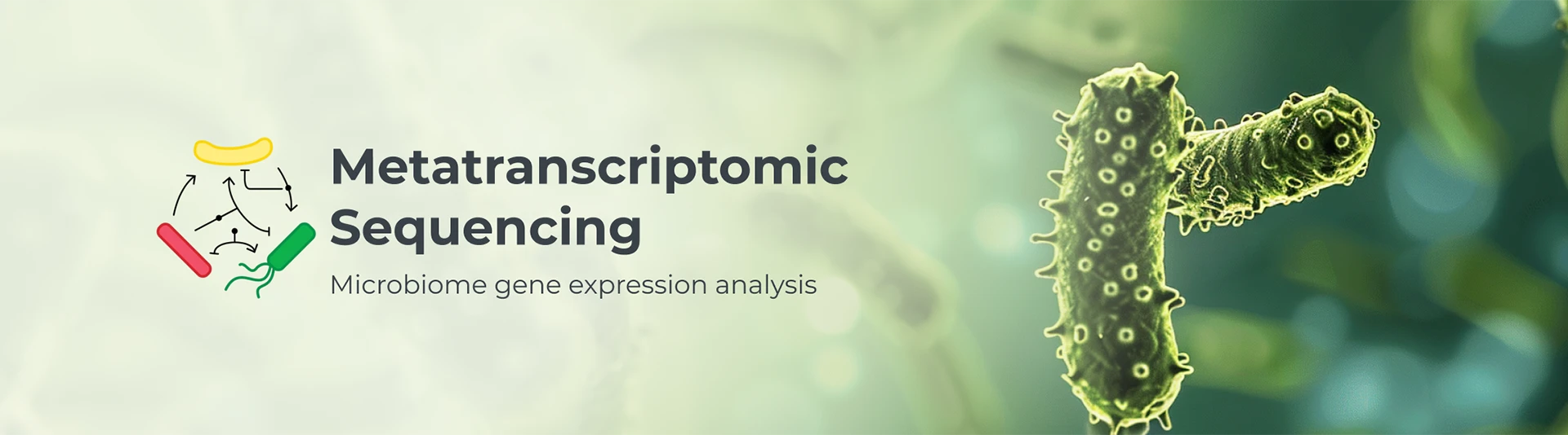 Banner for Metatranscriptomic Sequencing