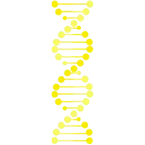 Cartoon yellow dna strand