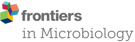 Frontiers in Microbiology Logo