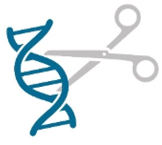 Image of scissors cutting a DNA strand.