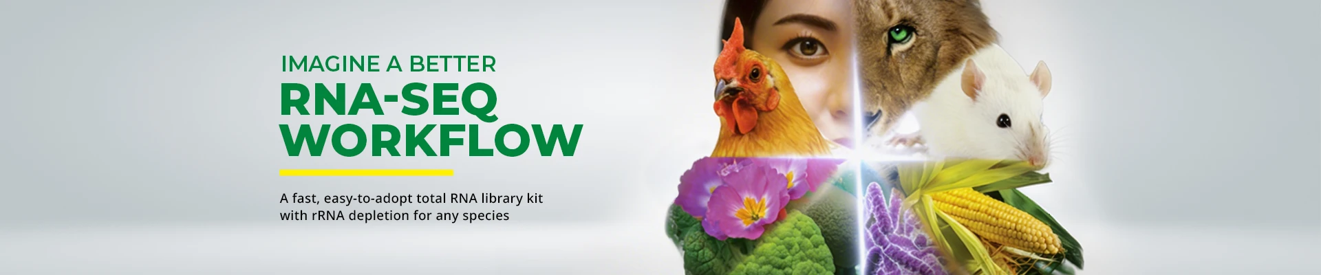 Website banner with the headline 'Imagine a Better RNA-Seq Workflow,' supporting text about a total RNA library kit with rRNA depletion for any species, and a split collage showing a human face, lion, mouse, chicken, flowers, and crops.