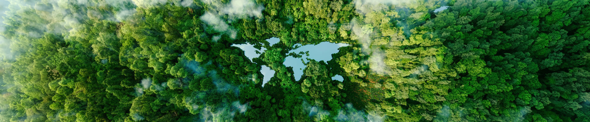 Banner image with a top down view of a forest with a lakes that form different continents