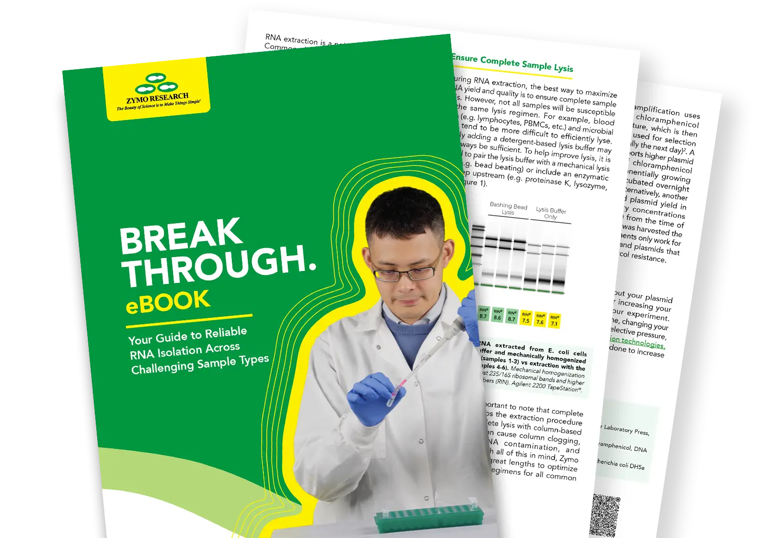 Plasmid Yield