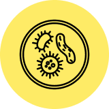 A group of microorganism icon