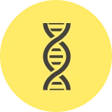 Monitoring of Extraction Efficiency using Real Time PCR