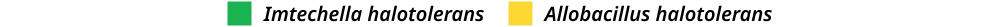 Legend for Figure 2. Green represents Imtechella halotolerans and Yellow represents Allobacillus halotolerans