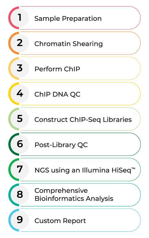 ChIP-Seq Analysis Service - ChIP Sequencing | ZYMO RESEARCH