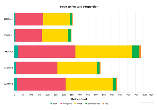 An example of a bar chart showing data resulting from ChIP-Seq service