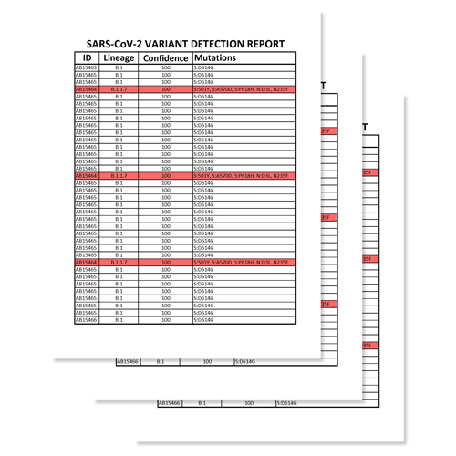 3 sheets or spreadsheet reports