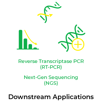 Image showing the downstream applications of Direct-Zol, including Reverse Transcriptase PCR (RT-PCR) and Next-Gen Sequencing(NGS)