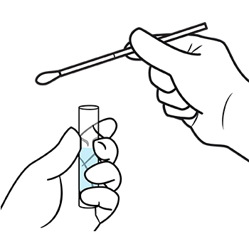 Image of hands holding a swab that will be placed inside a sample collection tube