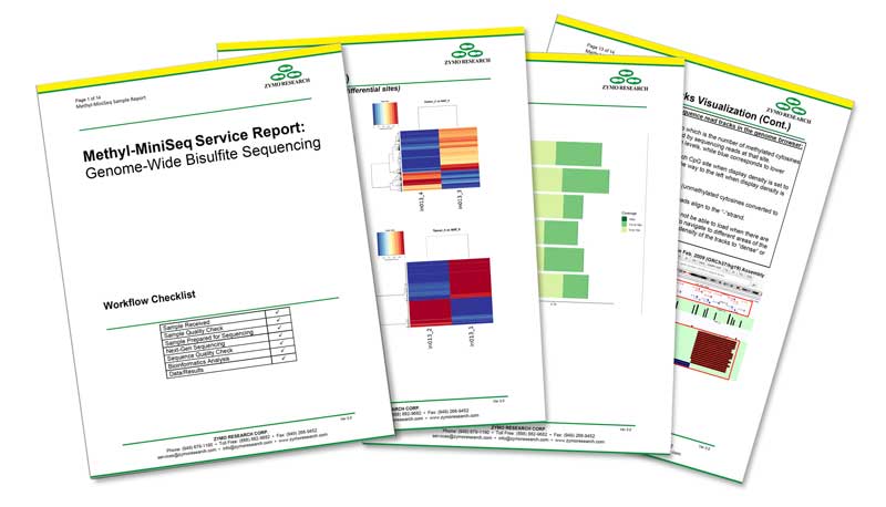 Methyl-MiniSeq Service Report overview