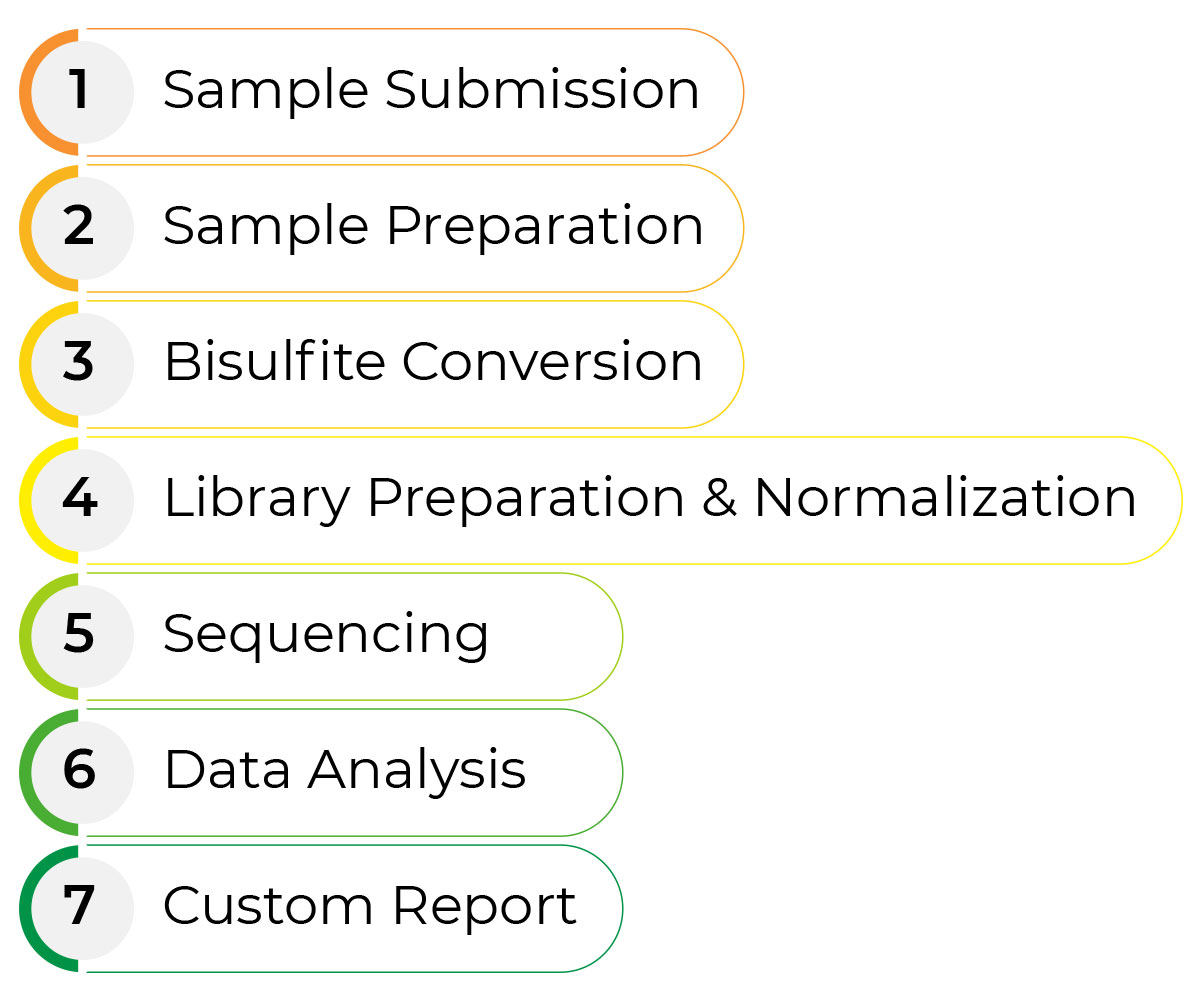 Image of the Human DNAge pipeline in 7 steps