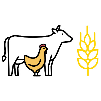 image of a cow, chicken, and wheat