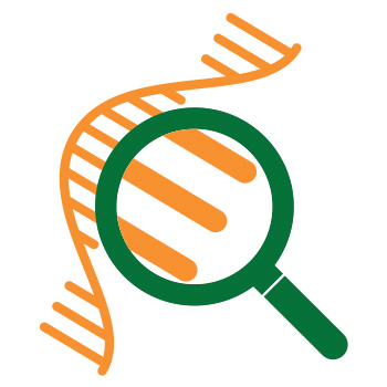 image of a magnifying glass analyzing part of an RNA strand